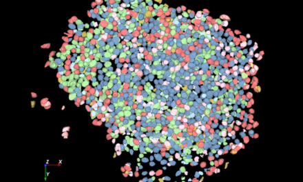 Aivia 15 From Leica Simplifies Image Analysis