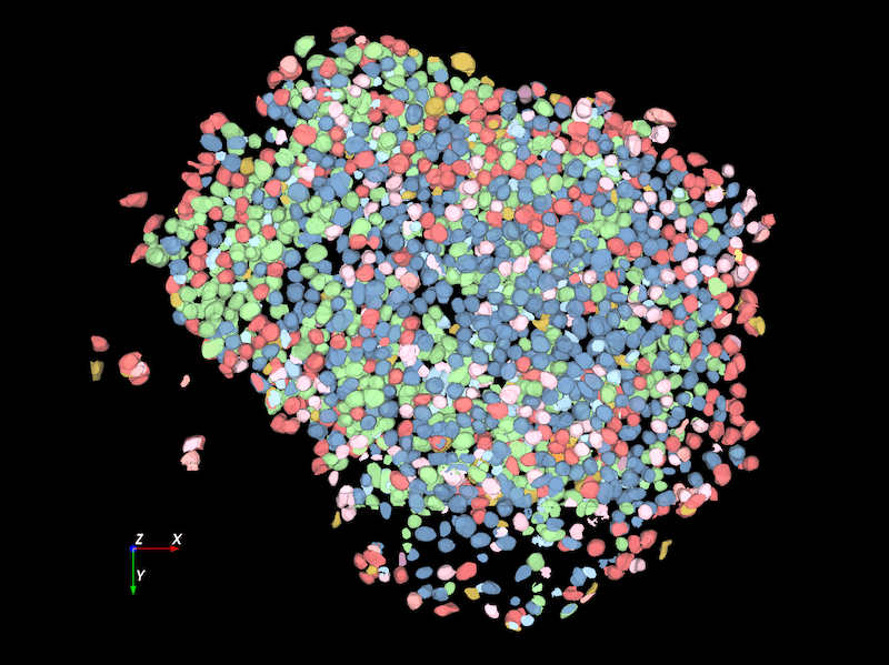 Aivia 15 From Leica Simplifies Image Analysis