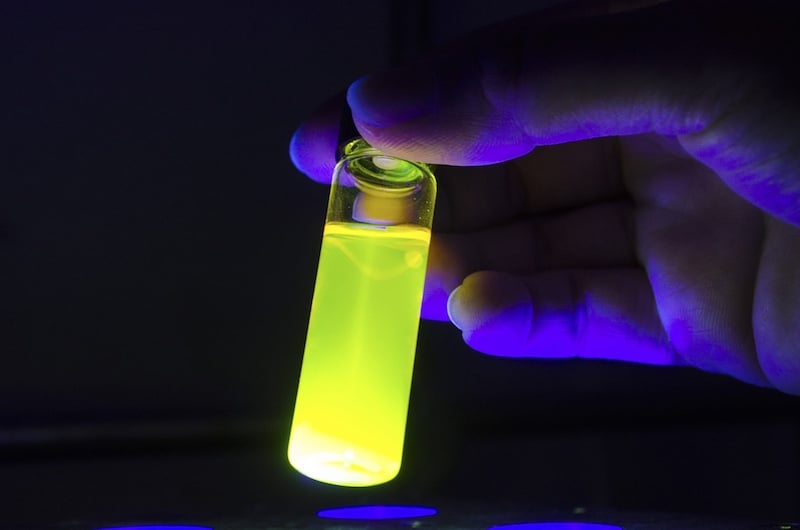 Bioluminescence Used to Detect Viruses