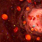 Capillary Blood Is a Viable Option for Routine Testing