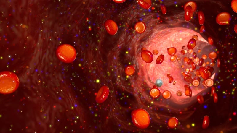 Capillary Blood Is a Viable Option for Routine Testing