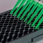 DUB Enzyme Assay Kits Are Sensitive and Specific