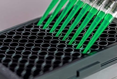 DUB Enzyme Assay Kits Are Sensitive and Specific