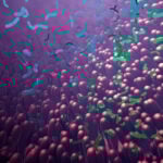 Gut Bacteria and AI Used to Diagnose a Chronic Pain Syndrome