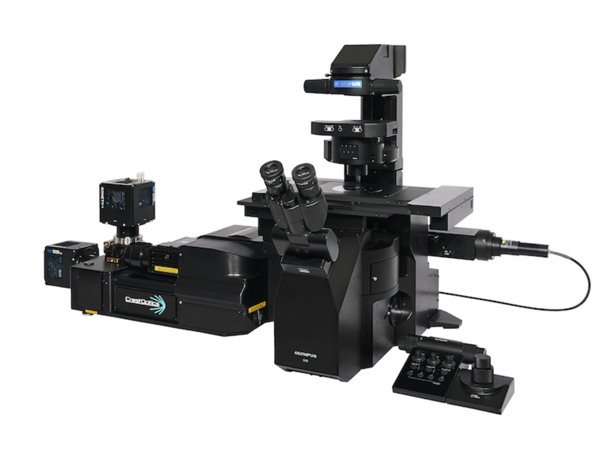 Spinning-Disk-Confocal-