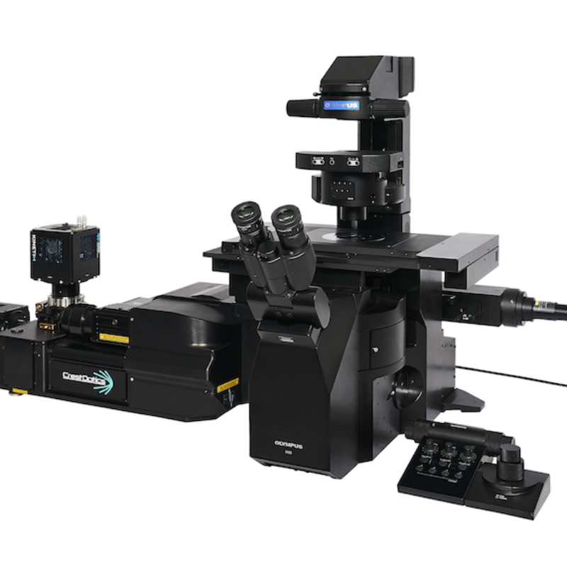Spinning Disk Confocal Microscopes Launched by Evident | Clinical