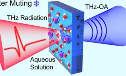 Blood Sodium Measured Using Sound and Terahertz Waves