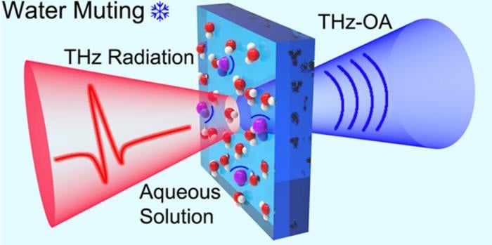 Blood Sodium Measured Using Sound and Terahertz Waves