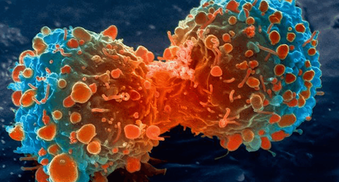 CAP Updates 23 Cancer Protocols