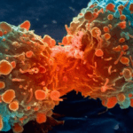 CAP Updates 23 Cancer Protocols