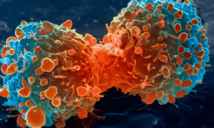 CAP Updates 23 Cancer Protocols