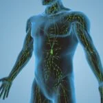 Partnership to Develop Companion Diagnostic Kit for Lymphoma