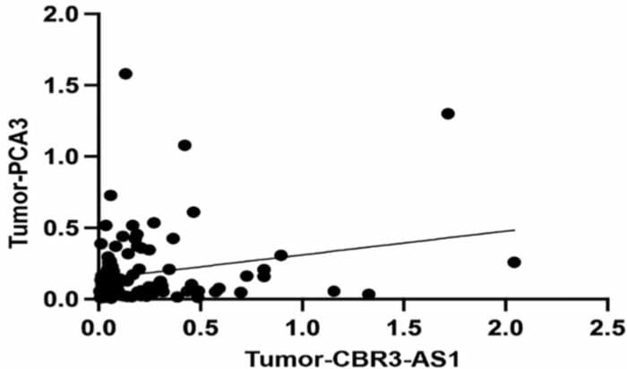 Gastric Cancer Biomarkers Identified in New Study