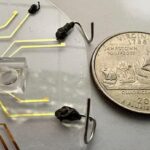 Genetic Mutation Detected with Testing Device