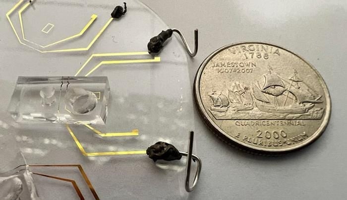 Genetic Mutation Detected with Testing Device