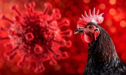 H5N1 Testing Program Coming from CAP This Fall