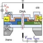 Nanopore Sensing Platform Developed