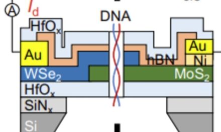 Nanopore Sensing Platform Developed
