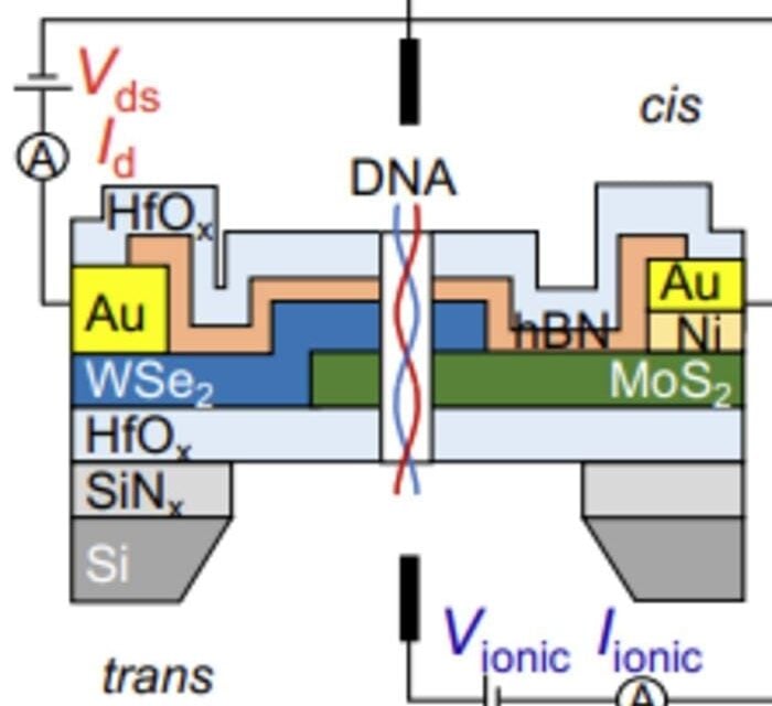 Nanopore Sensing Platform Developed