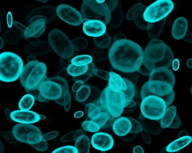 Non-DNA-Based Nanopore Test May ID Viral Infections in Minutes