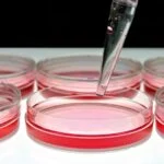 QuidelOrtho To Accelerate Growth In Molecular Diagnostics