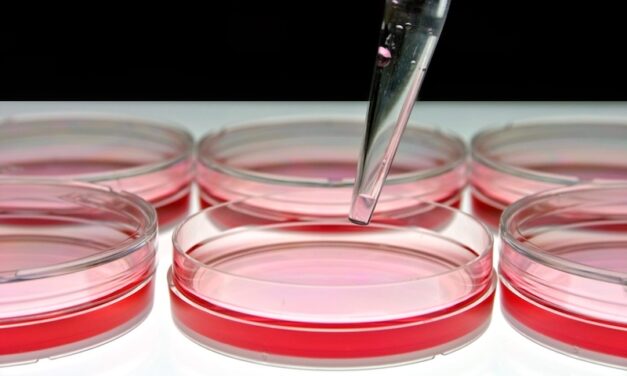 QuidelOrtho To Accelerate Growth In Molecular Diagnostics