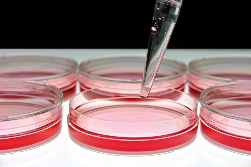 QuidelOrtho To Accelerate Growth In Molecular Diagnostics