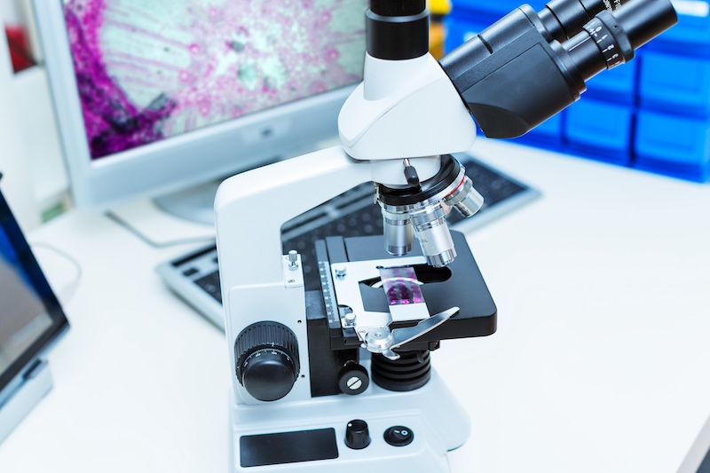 Proscia’s AI Pathology Platform Sees 400% Growth in Daily Cases