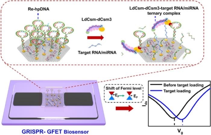 CRISPR-Cas10 Integrated with Graphene Field-Effect Transistors Offer Innovative RNA Detection Approach