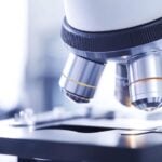 EXAONE Path 2.0 Next-Generation Precision Medical AI Debuts