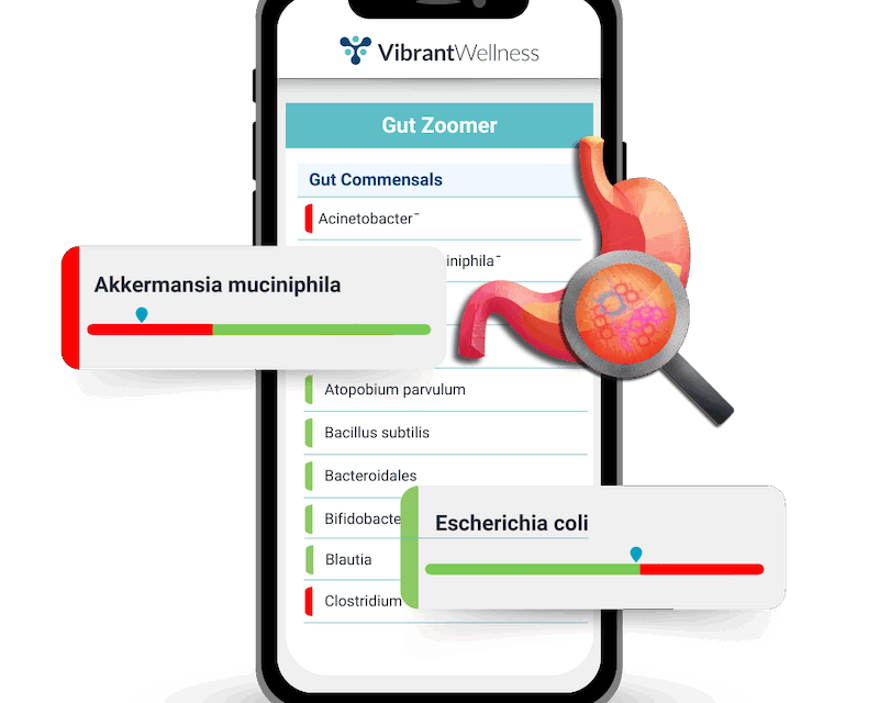 Gut Zoomer Gets Upgrade, Adds Microbial and Metabolic Insights