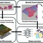Phenotype Identification Will Open Door to Precision Medicine