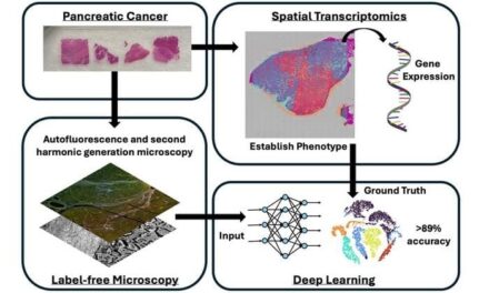 Phenotype Identification Will Open Door to Precision Medicine