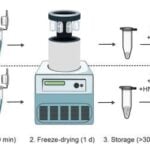 RT-LAMP Assay Provides Affordable, Reliable Pathogen Detection