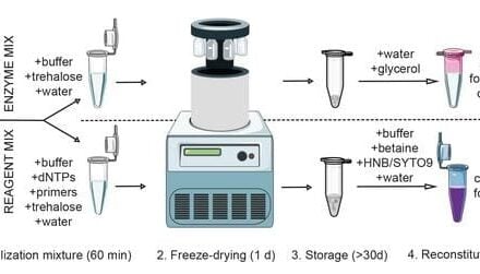RT-LAMP Assay Provides Affordable, Reliable Pathogen Detection