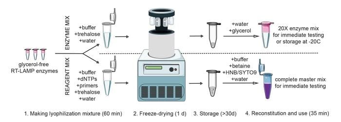 RT-LAMP Assay Provides Affordable, Reliable Pathogen Detection
