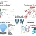 Sepsis Diagnostic and Prognostic Biomarker Identified