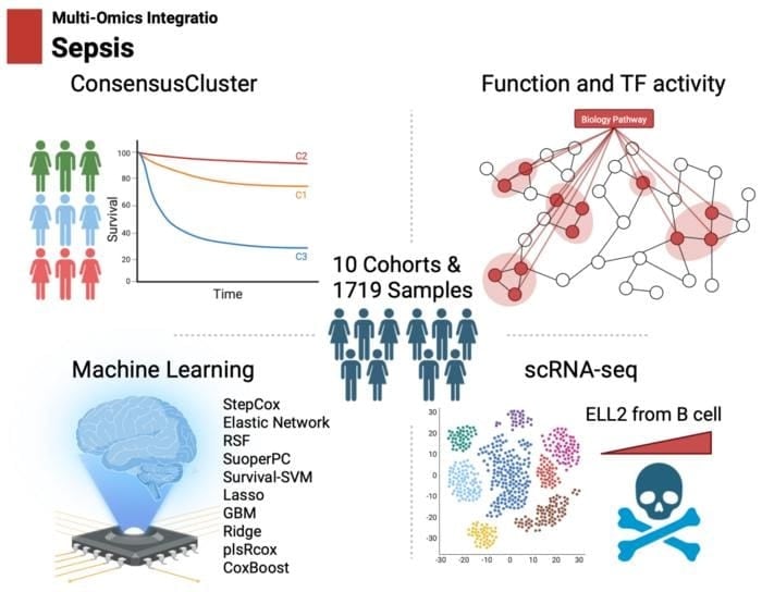 Sepsis Diagnostic and Prognostic Biomarker Identified