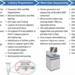FDA-Approved MI Cancer Seek Test Enhances Tumor Profiling for Precision Oncology