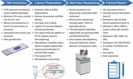 FDA-Approved MI Cancer Seek Test Enhances Tumor Profiling for Precision Oncology