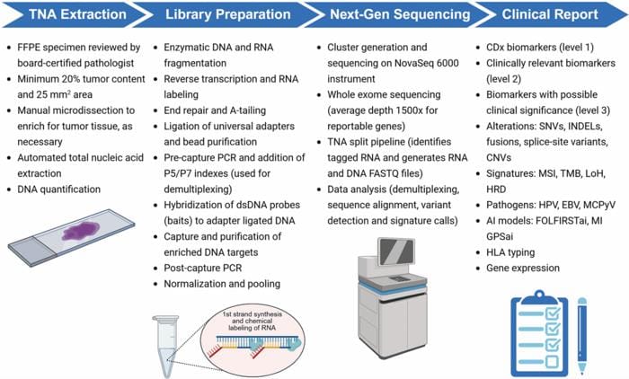 FDA-Approved MI Cancer Seek Test Enhances Tumor Profiling for Precision Oncology