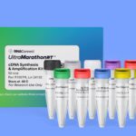 cDNA Synthesis and Amplification Kit for Enhanced Short-Read RNA Sequencing Launches