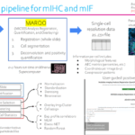 Mount Sinai Develops AI Tool for Cancer Tissue Analysis