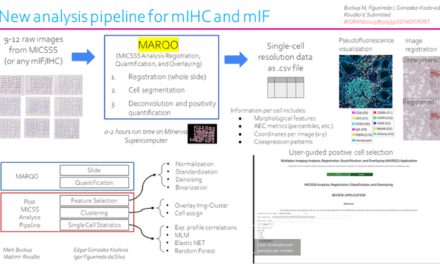 Mount Sinai Develops AI Tool for Cancer Tissue Analysis