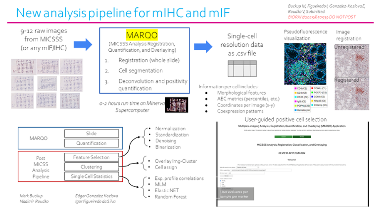 Mount Sinai Develops AI Tool for Cancer Tissue Analysis