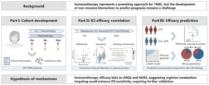 Blood Test Achieves 85% Accuracy in Predicting Breast Cancer Immunotherapy Response