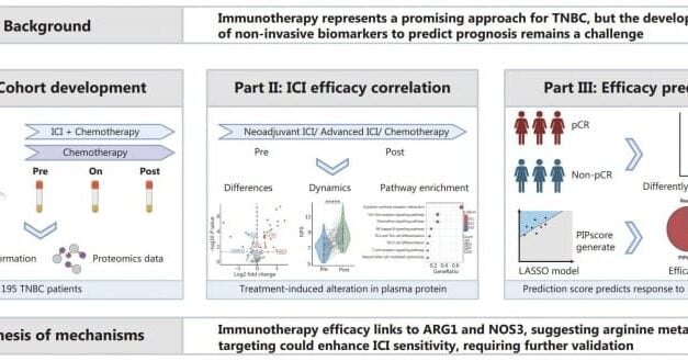 Blood Test Achieves 85% Accuracy in Predicting Breast Cancer Immunotherapy Response