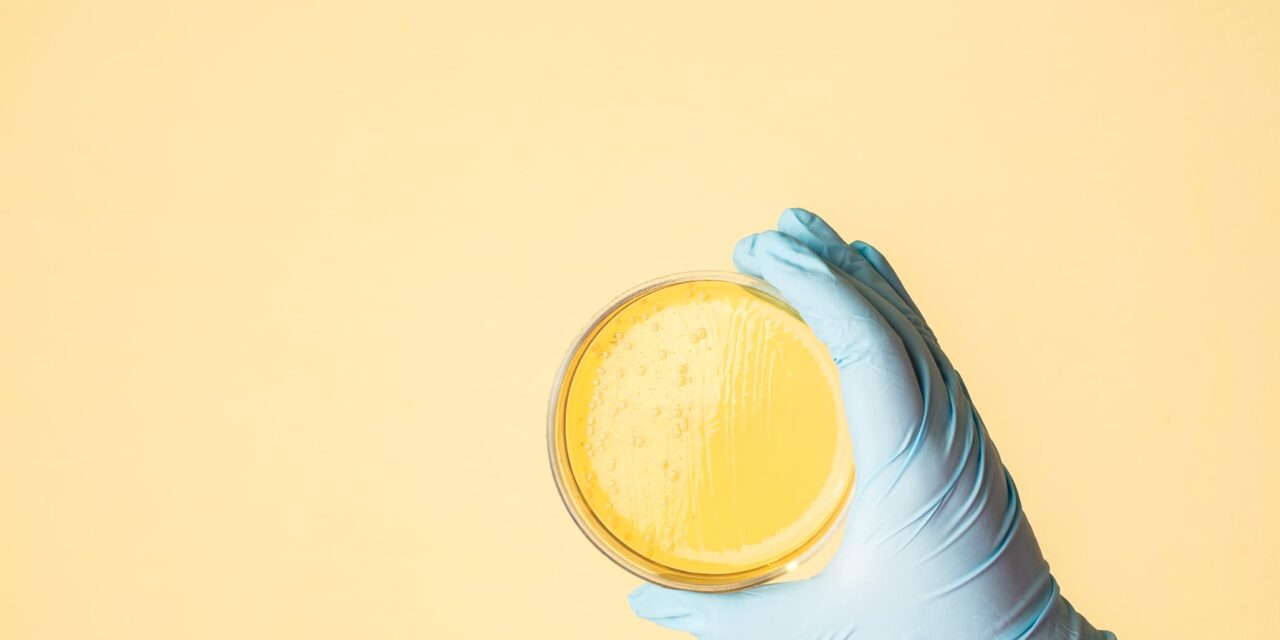 E. coli Shown to Develop Antibiotic Resistance Within a Single Patient