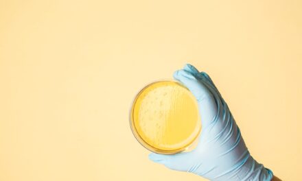E. coli Shown to Develop Antibiotic Resistance Within a Single Patient
