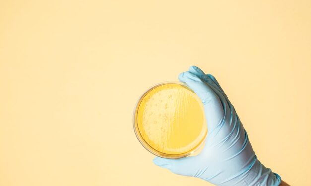E. coli Shown to Develop Antibiotic Resistance Within a Single Patient
